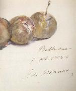 Edouard Manet Lettre avec trois prunes (mk40) oil painting reproduction
